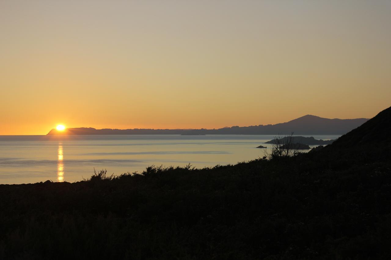 Eagle'S Roost Farmstay B&B Rocky Cape Exteriör bild