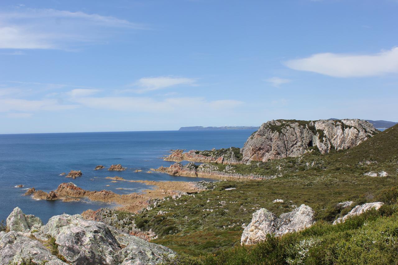 Eagle'S Roost Farmstay B&B Rocky Cape Exteriör bild